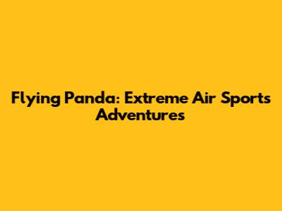Flying Panda: Extreme Air Sports Adventures